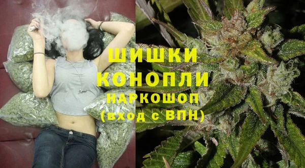 хмурый Горно-Алтайск