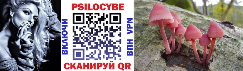 Псилоцибиновые грибы Magic Shrooms  купить наркотик  Белогорск 